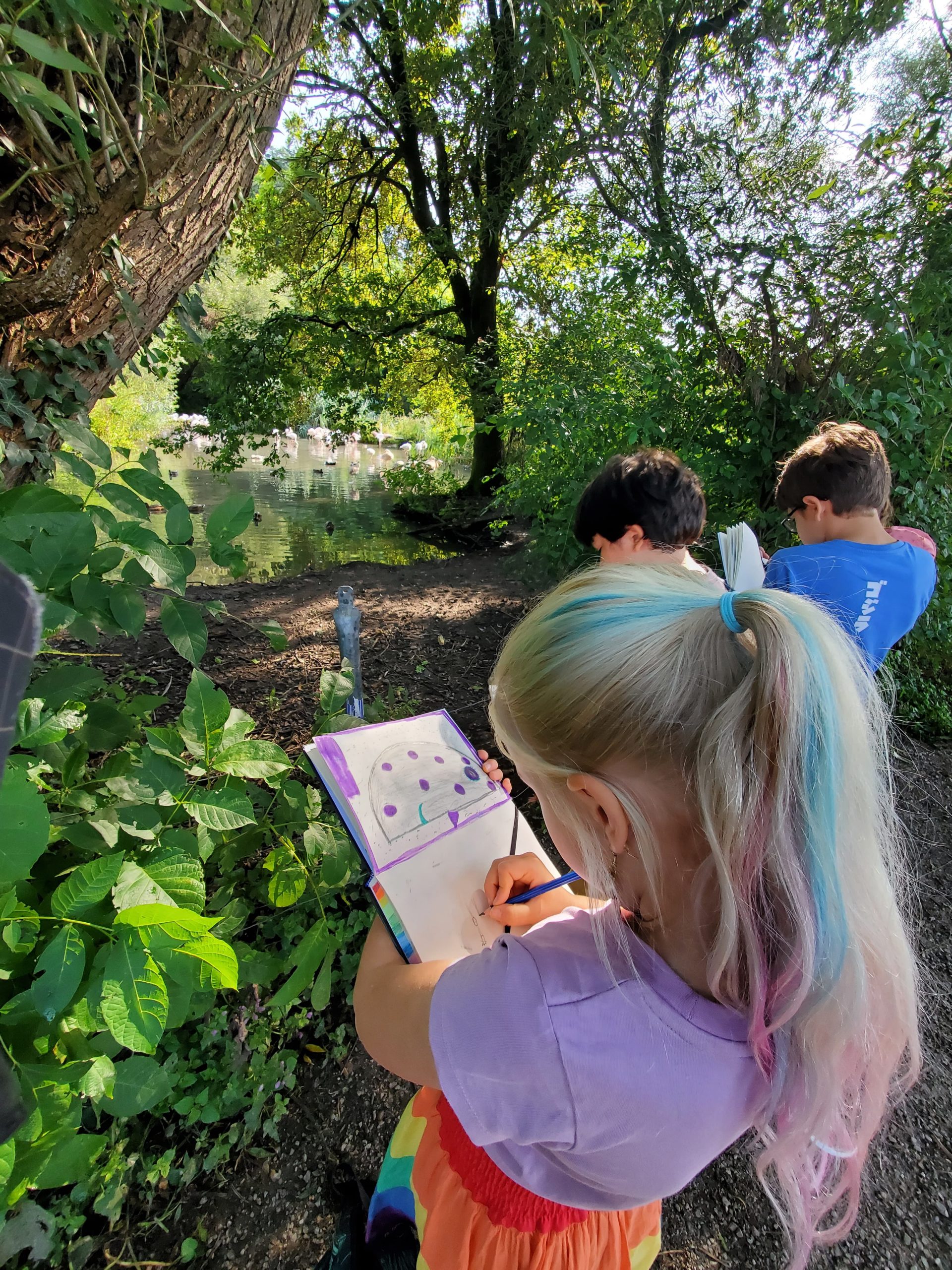 IMG-20250809-WA0032 IMG-20250809-WA0032