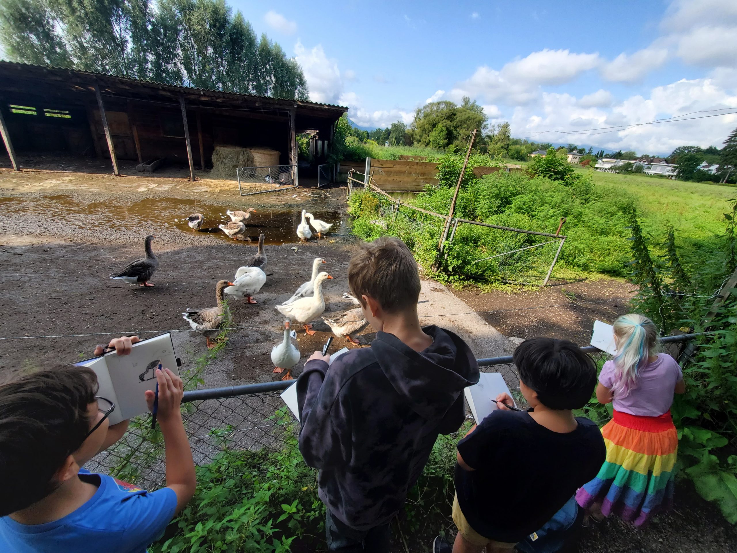 IMG-20250809-WA0044 IMG-20250809-WA0044